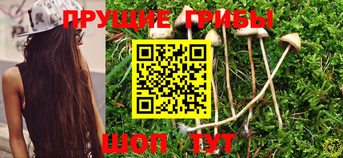 МЕФ кристаллы  Кокаин  Бошки Шишки  Где купить наркотики?  Вход с VPN  Меф МЯУ МЯУ  Лсд 25  Фурманов  ГАШИШ 
